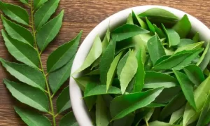 curry leaves benefits