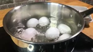 boil egg