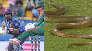 cricket news sri lanka