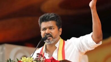 tvk vijay party