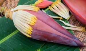 வாழைப்பூ