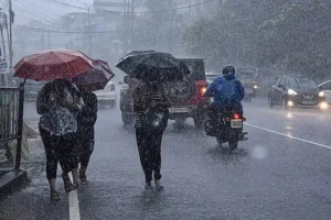 Rain Alert 01