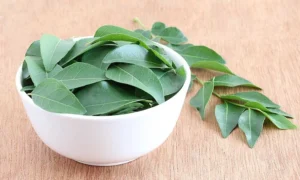 curry leaves benefits