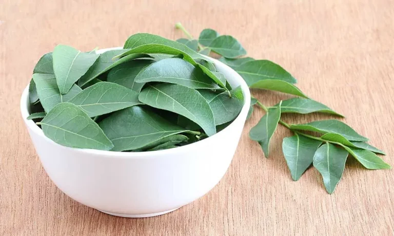 curry leaves benefits