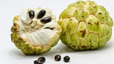 நீரிழிவு நோயாளிகள் சீதாப்பழம் சாப்பிடலாமா