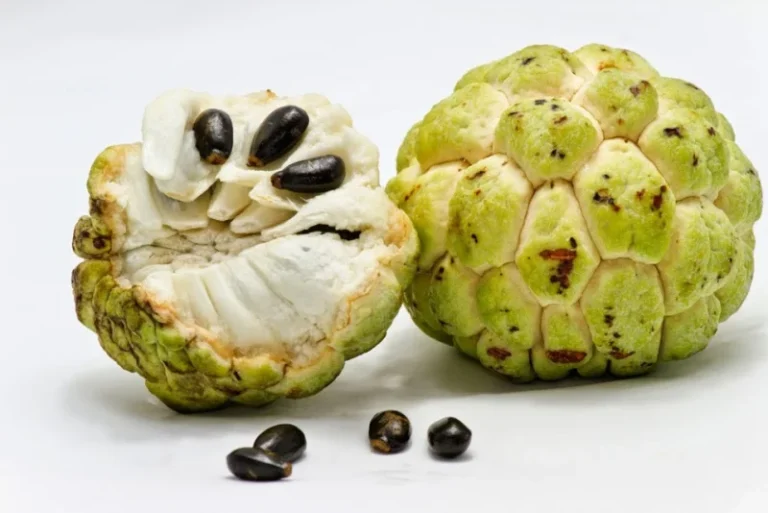 நீரிழிவு நோயாளிகள் சீதாப்பழம் சாப்பிடலாமா