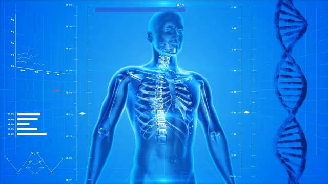 Human Body